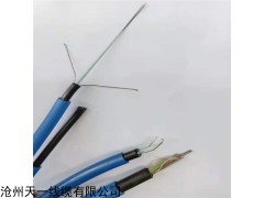 MGTSV-8B 礦用阻燃通信光纜