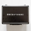 TD400-SH-THF泵吸式四氢呋喃检测仪防爆等级CT4