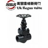 Regus1 英国Regus雷格斯进口锻钢截止阀Li
