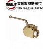 DN6-100 英國Regus雷格斯進口高壓球閥Li