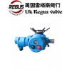 450N.m 英國(guó)Regus雷格斯進(jìn)口電裝Li