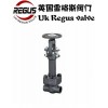 Class 800-1500LB  英国Regus雷格斯进口低温闸阀Li