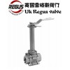 04、316 英国Regus雷格斯进口低温球阀Li
