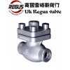 qaa 英国Regus雷格斯进口低温止回阀Li