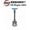 sqq 英国Regus雷格斯进口低温截止阀Li