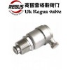 :1.0mpa 英国Regus雷格斯进口不锈钢排气阀Li