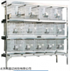 JV222-RB42-12   库号：M59100  不锈钢干养式实验兔笼