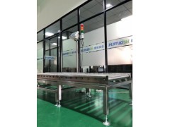 DT 高速度报警辊筒称重机