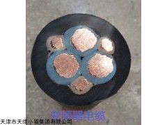 QXFW天津船用电力电缆促销