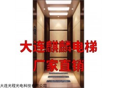 家用別墅曳引鋼帶電梯