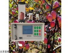 DP-GS3 果蔬呼吸测定仪