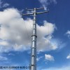 35KV 图纸加工18米双回路钢杆 35KV耐张钢管杆