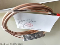 HH-SJSW-III9种硫化物测定 炼厂硫化物恶臭脱除分析专用柱