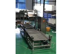 DT 带打印功能滚筒台秤价格