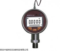 ZN-100C 浙江ZN-100C遠傳數(shù)字壓力表