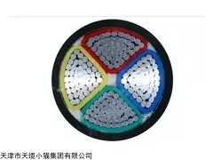 YJLV10kv3*95mm2高压铝芯电力电缆