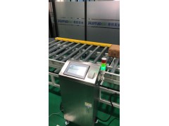 DT 自动输送平台轨道滚筒秤