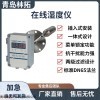 HT-LH362型在线湿度仪