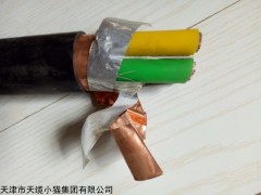 小猫牌RVV22 铠装阻燃软电缆3*10价格