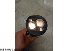 阻燃电缆ZA-RVV阻燃通信设备电源线2*70