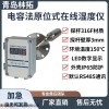 LT-365型在线湿度仪
