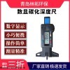 JW-STH数显碳化深度尺