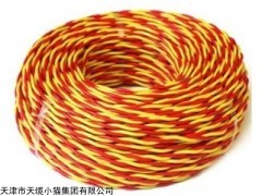 常州双屏蔽双绞线电缆-RVSPVP