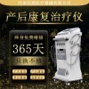 DJ-R9型 剖腹產(chǎn)產(chǎn)后恢復(fù)治療儀