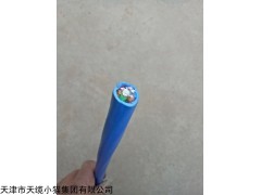 HYA22铠装通信电缆50*2*0.5系列报价
