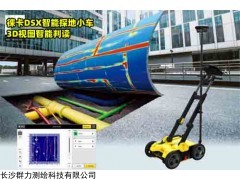 徕卡DSX智能探地小车3D视图智能判读