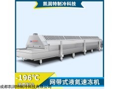 YDS-1.25/9 隧道式液氮速冻机