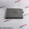模擬量輸入 電氣 T8431C SIS