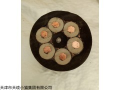 CEFR船用橡胶电缆CEFR/12F船用橡套控制电缆