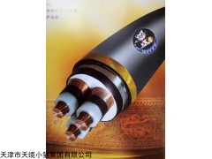 屏蔽电缆YJVP-3*16+1*10电力电缆价格