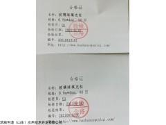 珀金埃尔默PE580系列 中国药典二氧化碳专用玻璃球色谱柱
