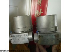 FGM-200X 美国华瑞RAE Guard2 PID fgm-200XPID探测器