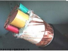 定做YJV交联电力电缆YJVP屏蔽电缆热销