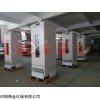 THYG-200X 泰宏君旗艦型藥品強光照射試驗箱THYG-200X