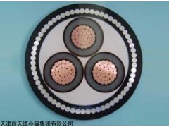天津电缆35KV-YJV高压交联电力电缆