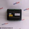 6通道模拟输入M模块4-20MA 9905-969