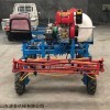 柴油机配套自走式小方向盘打药机