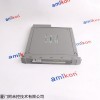 TMR模拟输出模块 T8480
