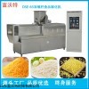 DSE85 富沃特機(jī)械 塊狀面包糠生產(chǎn)線