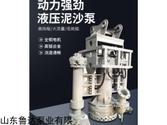 300WJQ1000-22 掘机配套泥浆泵 液压式泥沙泵 高材质鲁达泵业真诚服务