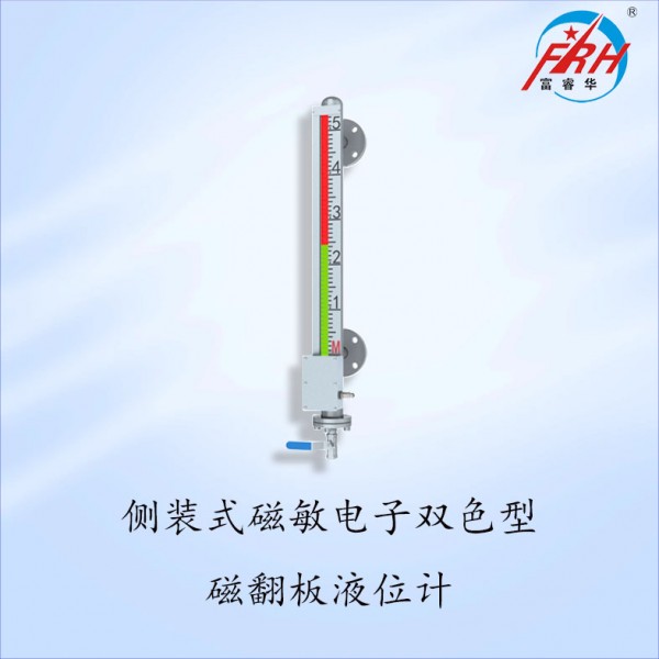 磁敏电子双色型