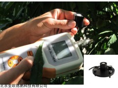 DP-GH 光合有效辐射记录仪