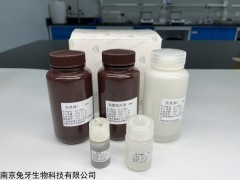 FFPE样本核酸提取试剂盒（磁珠法）100人份