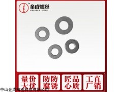 M10 达克罗平垫圈