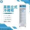 LC-250L 蔬菜水果立式冷藏柜
