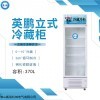 LC-370L 英鹏单门单温立式冷藏柜